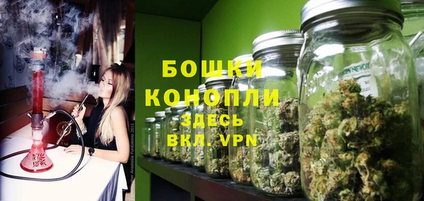 прущая мука Нея