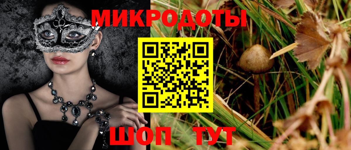 Псилоцибиновые грибы Psilocybine cubensis  где найти   Алушта 