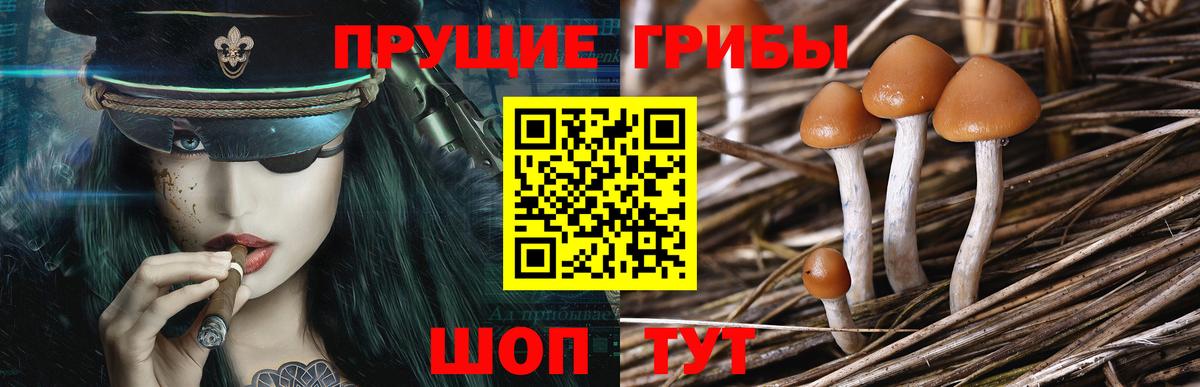 Алушта  Галлюциногенные грибы ЛСД  Псилоцибиновые грибы мухоморы  Вход с VPN 